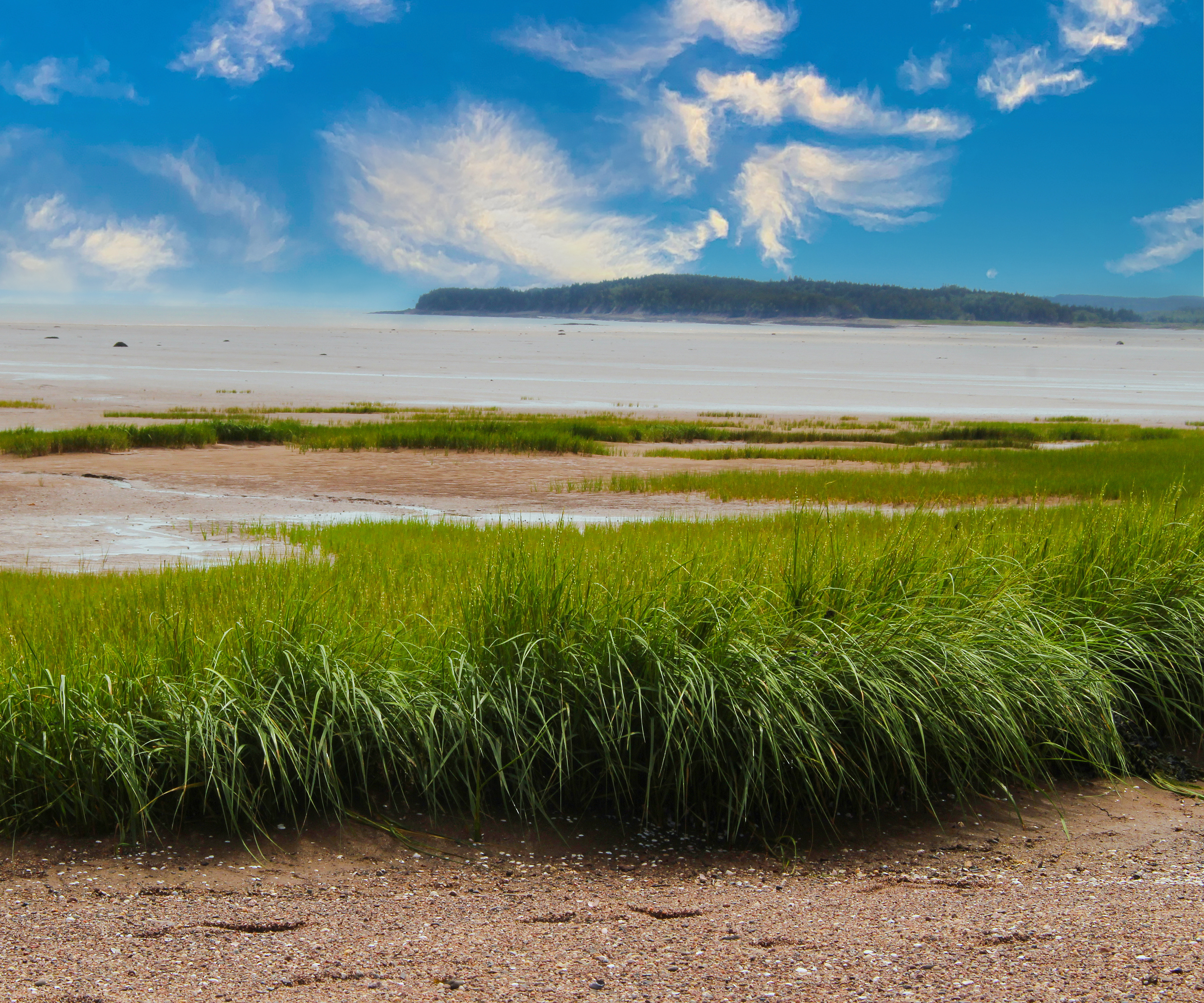 The Bay of Fundy and Its Wetlands (Canada)