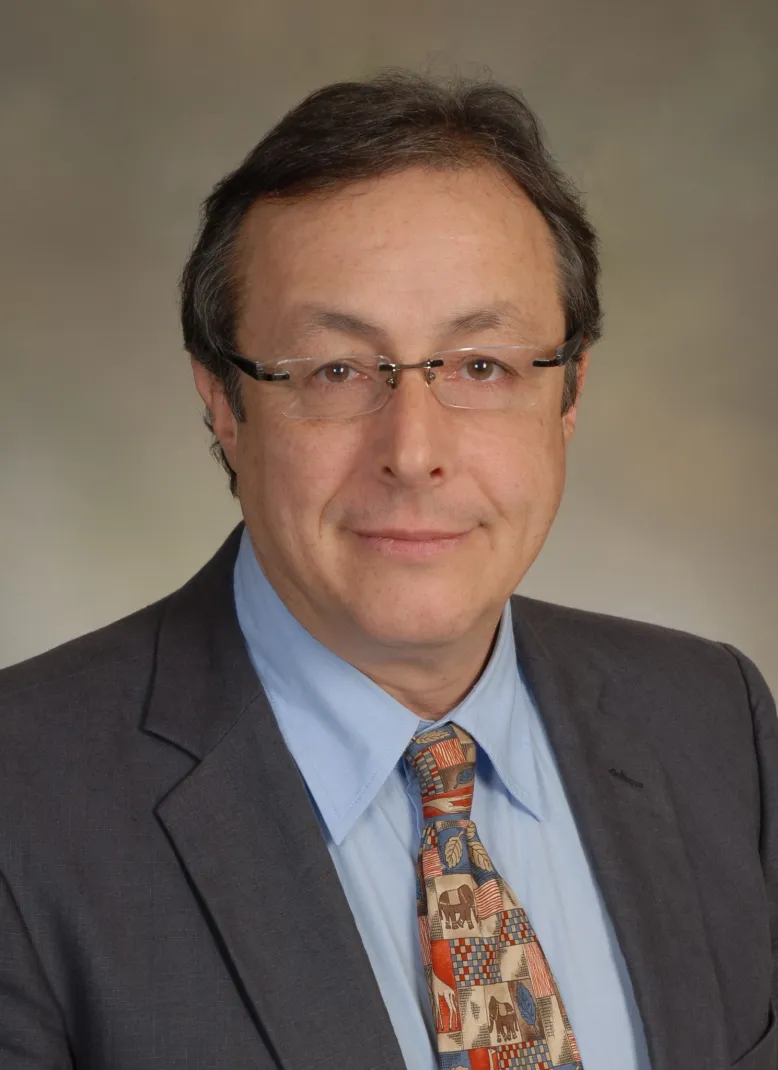 Prof. Roussos Dimitrakopoulos