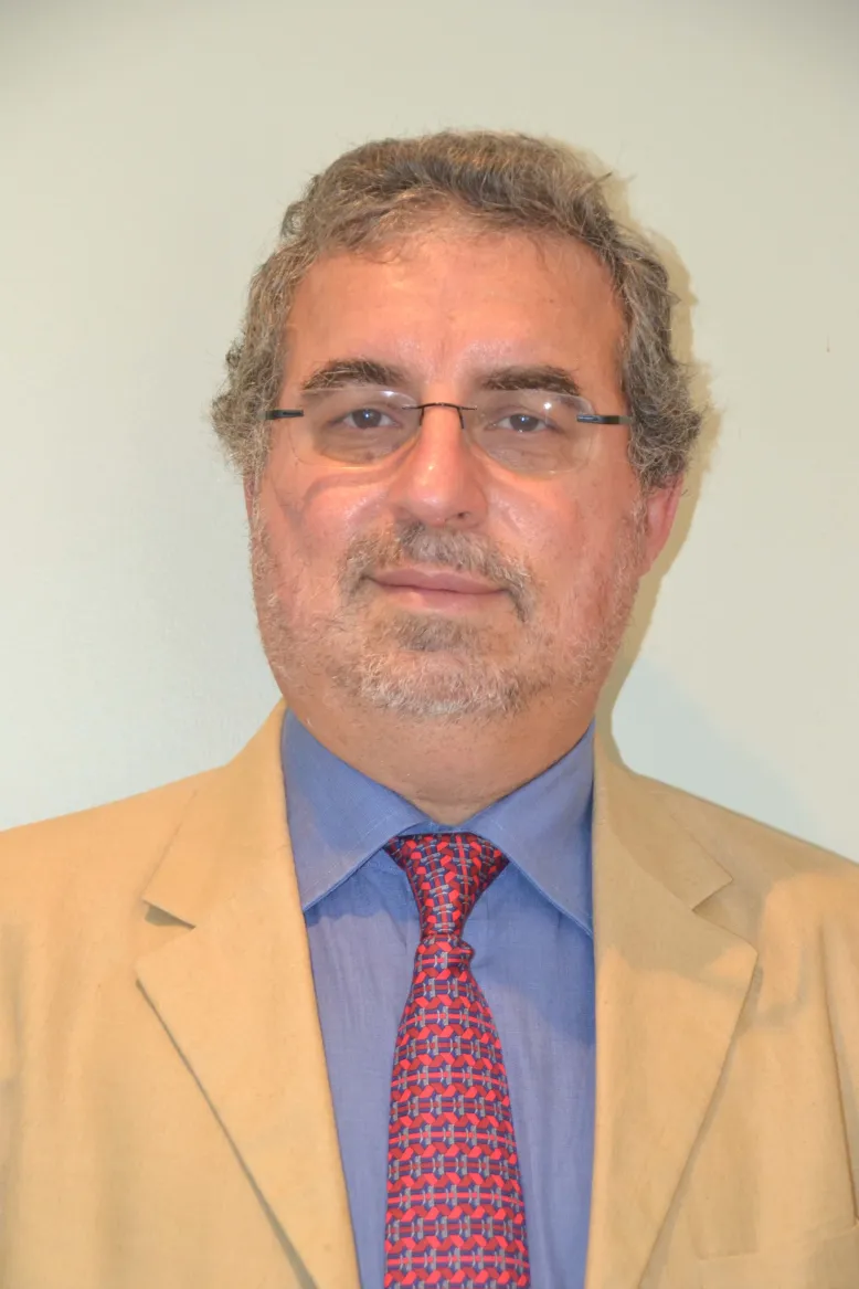 Prof. Ugo Piomelli