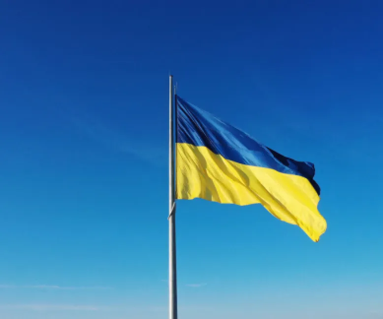 Ukraine flag